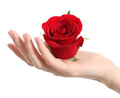 सुर्ख गुलाबों के बीच बैठकर चाय की चुस्कियां